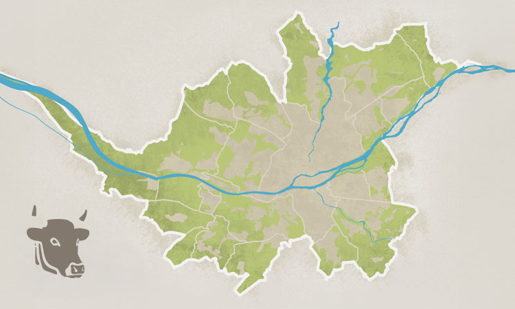 Carte interactive des éleveurs et distributeurs de vache nantaise